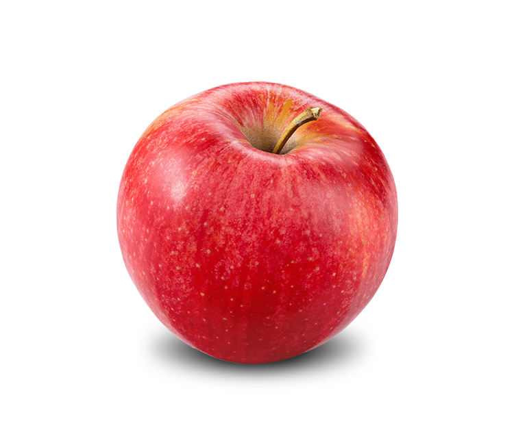 _0009_shutterstock